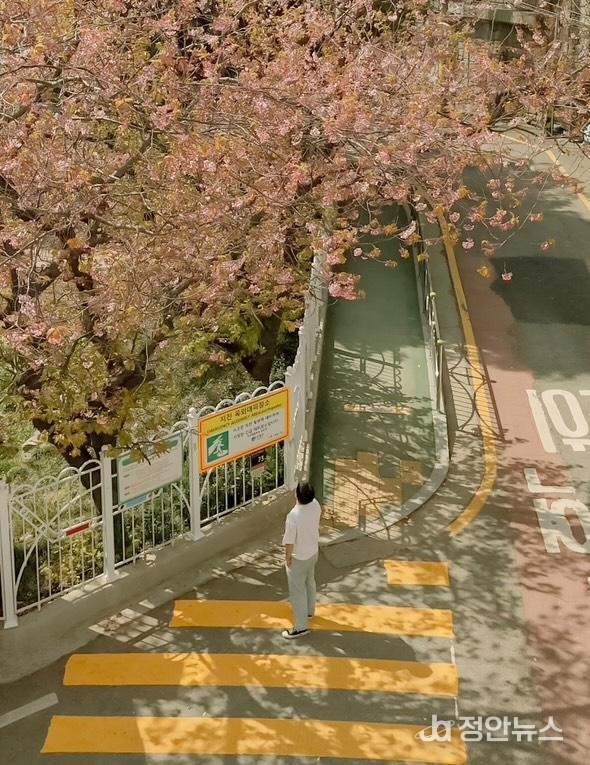  ‘라쿤스퀘어’