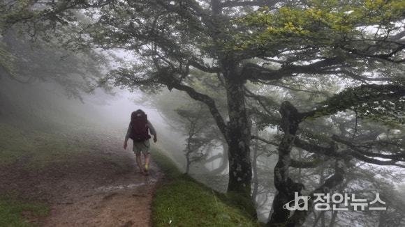 “혼자 걷는 길 같지만, 그 길 위에 누군가의 이름을 등에 업고 걸었습니다.”
