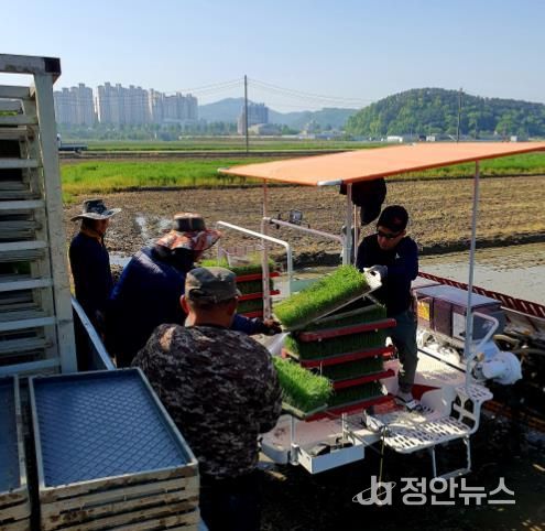 공주시, 올해 첫 모내기 실시…본격 영농철 돌입