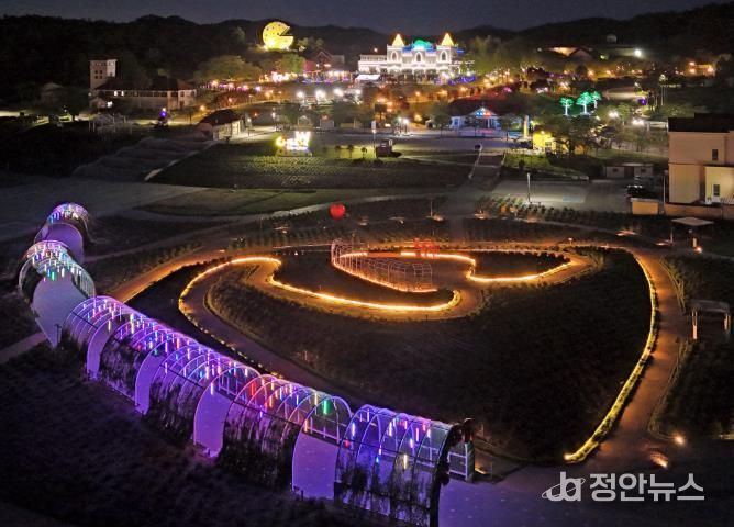 임실군, 치즈테마파크 장미원에 환상적인 야간경관 조성