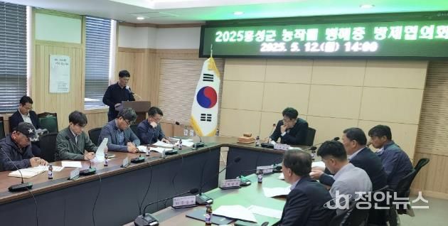 홍성군, 돌발해충 대응 본격화