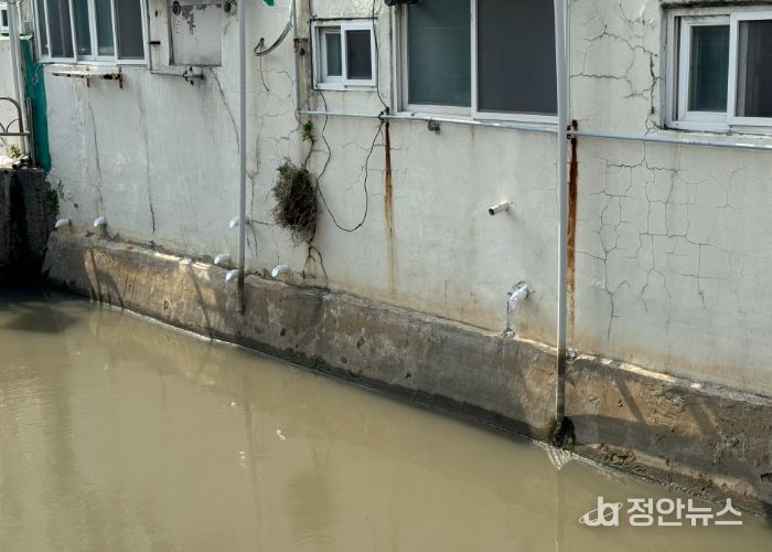 부산 동구, 침수 피해 예방 위해 동천 인근에 역류방지밸브 설치