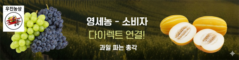 배너