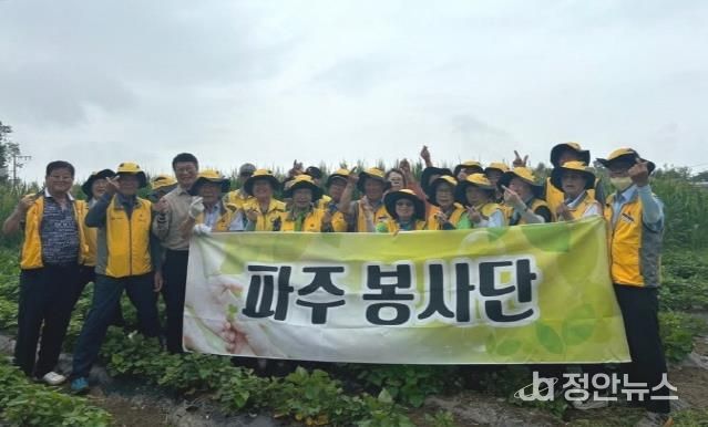 파주시 파주읍 파주봉사단, '고령농가 일손돕기 봉사활동'