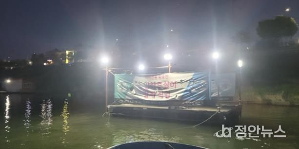 여주시, 친환경 동양하루살이 방제 대성공