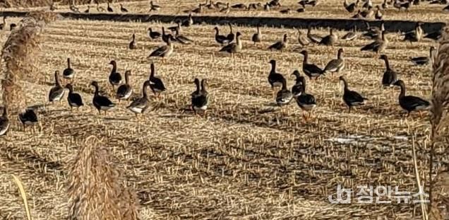 파주시, 생태계서비스지불제계약 사업 청약 신청