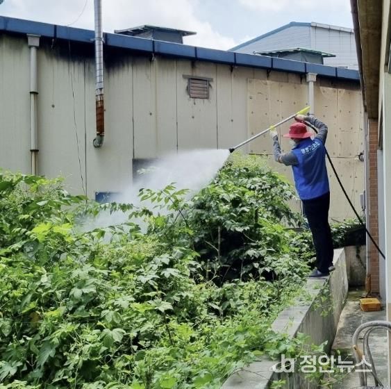 수원시 영통구 매탄3동 모기 매개 감염병 대비 방역 실시