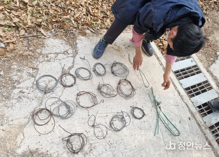 광주광역시, 야생동물 밀렵·밀거래 집중 단속