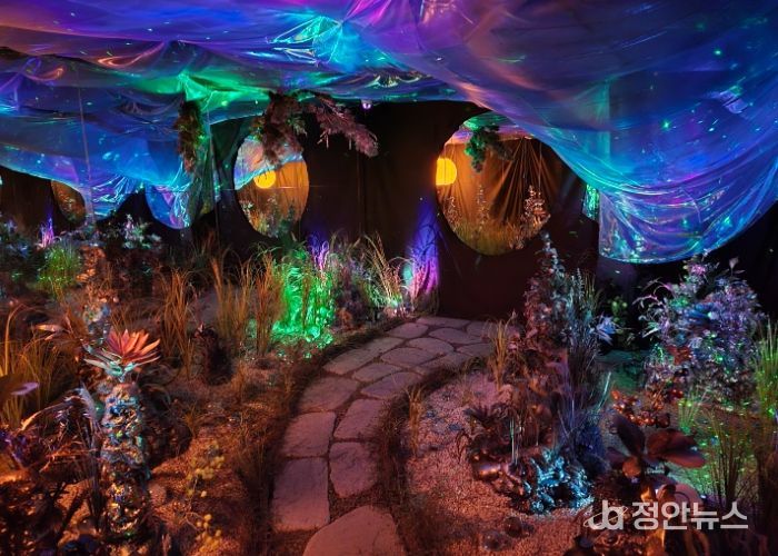 여행자의 ZIP 속 ‘비밀의 무등’이 피어나다