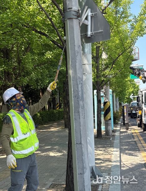 국채보상로 등 3개 구간 가로등주 도색 공사