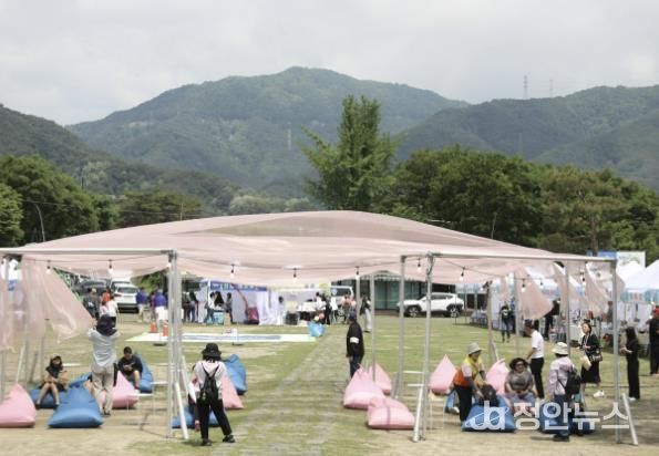 산책페스타 사진