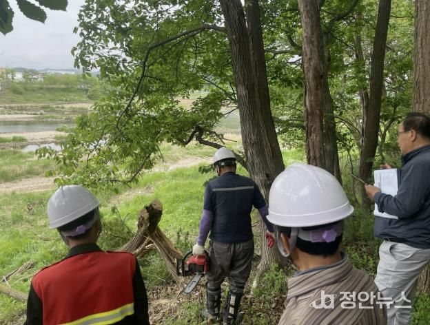 괴산군, 산업재해 예방 위한 ‘2025년 정기 위험성평가’ 실시