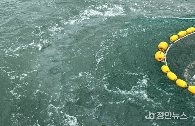 보름달물해파리 제거 작업(절단망이 부착된 그물로 해파리 제거/참고용 사진으로 훈련 당일 사진이 아님)