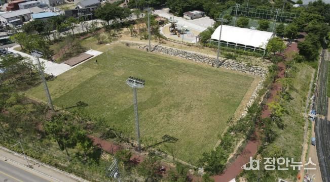 새롭게 조성된 잔디광장