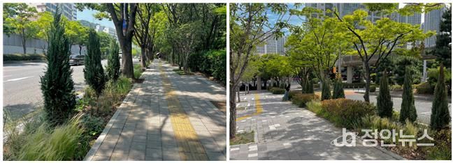 안전한 등굣길 제공, 생태적 교감능력 향상을 위해 조성된 ‘창신초 그린등굣길’