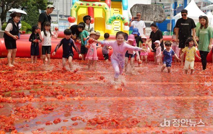 제23회 퇴촌 토마토 거리 축제