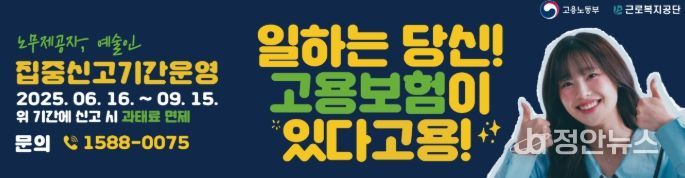 집중신고기간 운영 홍보 이미지