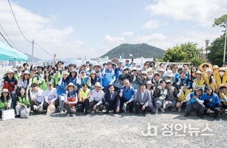 2024년 쿨루프 활동