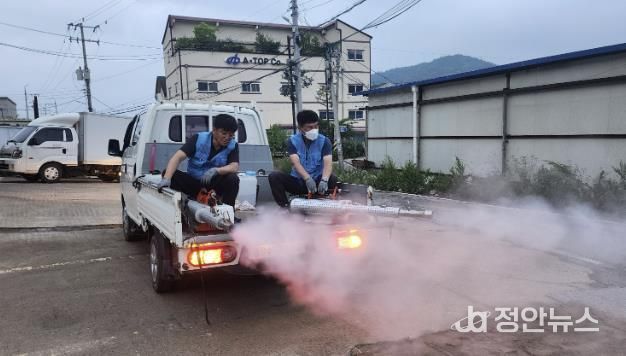 시흥시 월곶동, 여름철 감염병 예방 위한 마을방역단 본격 가동