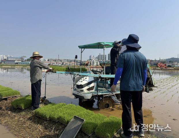 시흥시 한 농가의 작업 현장