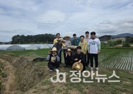 기획예산실, 성송 사내리 당산 주변 환경정비