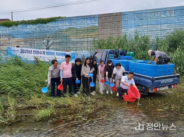 강물 따라 되살아나는 생명, 뱀장어 치어 방류