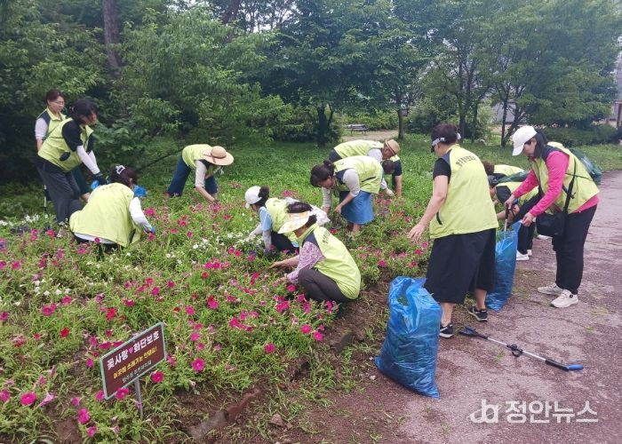 고양시 행주동 주민자치회, 환경정화 활동 ‘클린데이’ 실시