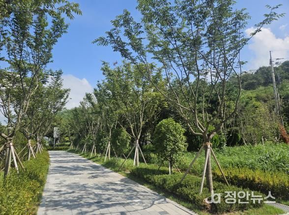 “철길 위의 숲, 시민과 관광객을 품다”