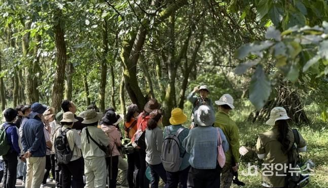 음성군, 예비 숲해설가, 자연숲 명상지도사 재능기부...'지역 힐링과 활력 도모'