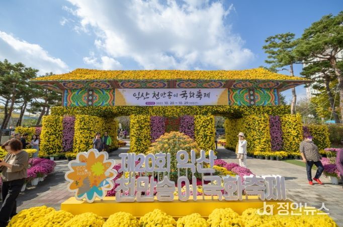 익산 천만송이 국화축제