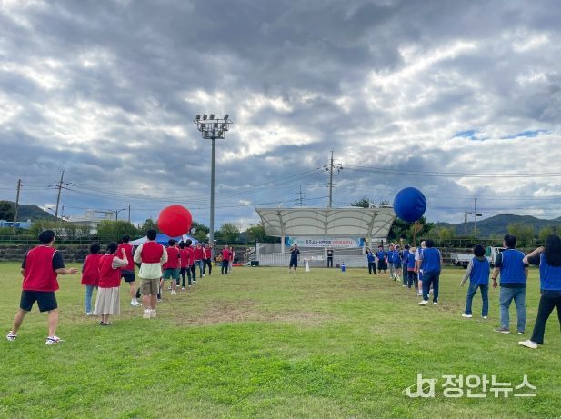 4-H연합회 화합체육행사