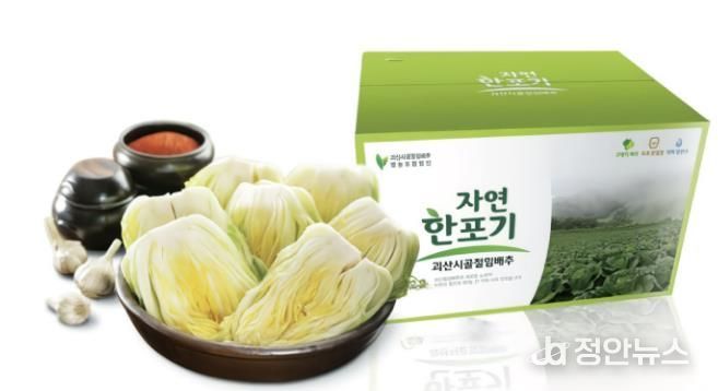 괴산시골절임배추, 올해 판매가격 ‘20kg 45,000원’ 결정