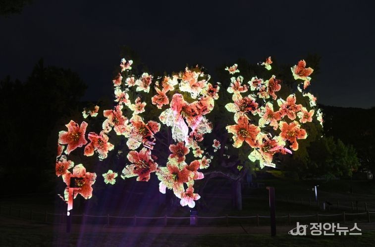 달성군 도동서원 미디어파사트 사진