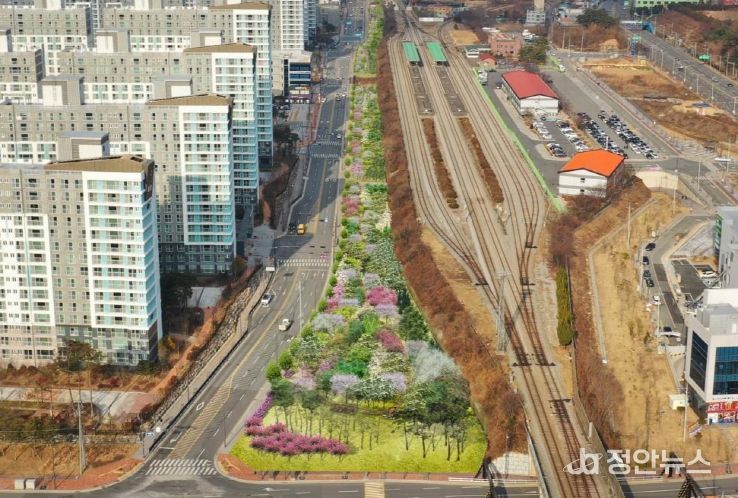 효천지구 미세먼지 차단 숲