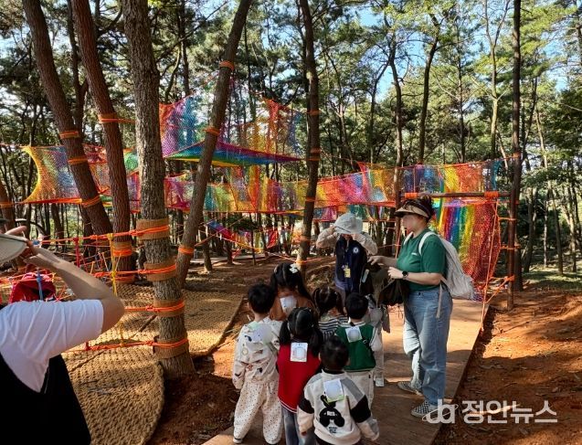 도심 속 자연 놀이터 '신흥공원 유아숲체험원'