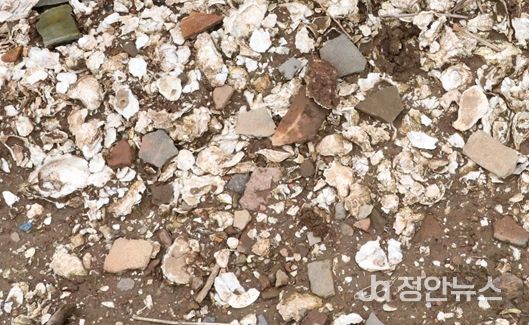 군산시 소재 패총유적 학술조사연구