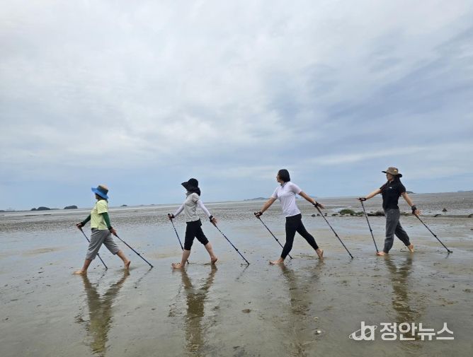 ‘슬로조깅·노르딕워킹’ 시범 운영
