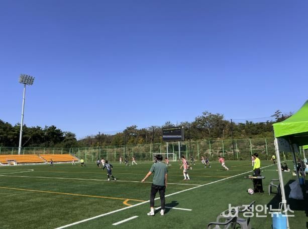 전국 중등 축구 페스티벌 사진