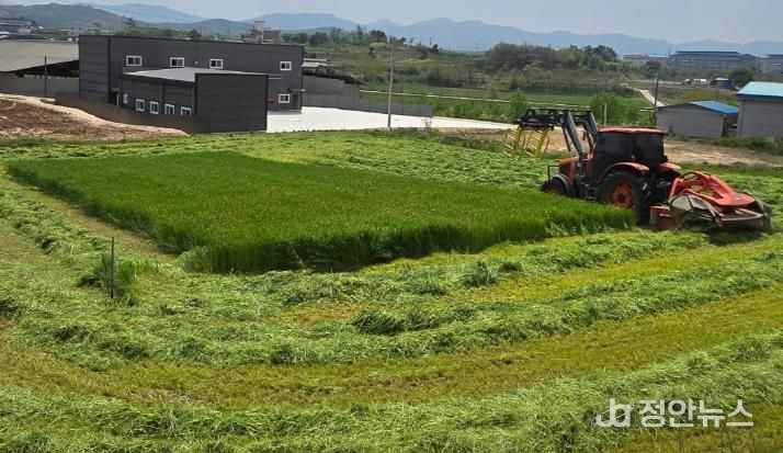 청주시, 조사료 전문단지 조성사업 첫 공모 선정