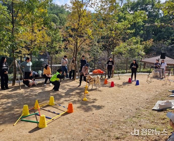 은평댕댕 가을소풍 사진