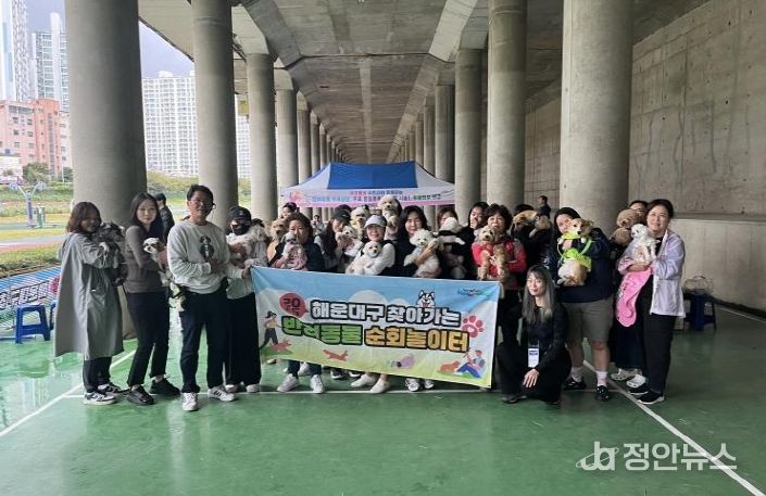 해운대구 반려동물