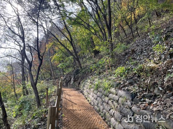 괴강둘레길 전경