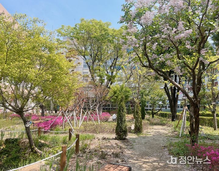 경북여고 학교숲