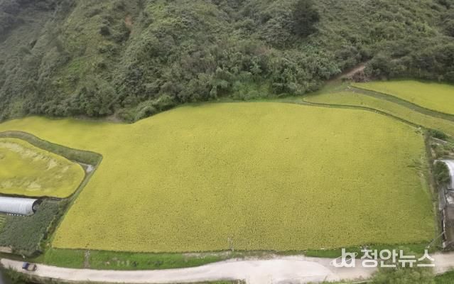 경기도 남양주시 조안면 시우리 222-3번지 일원에 있는 「구리시 관외 농지 활용 벼농사 체험장」 전경