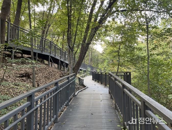 추동숲정원 데크길