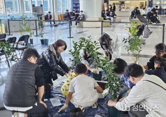 미래세대와 함께하는 ‘나는야 똑똑한 도시농부’ 교육현장(체험학습 참여가족이 우리나라에서 개발하고 보호등록된 감귤품종의 묘목을 심어보고 있다.)