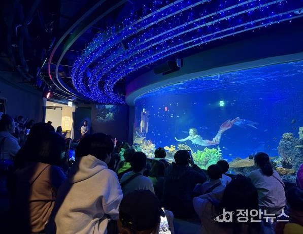 수원특례시 드림스타트 아동·가족이 아쿠아플라넷 관람을 하고 있다.