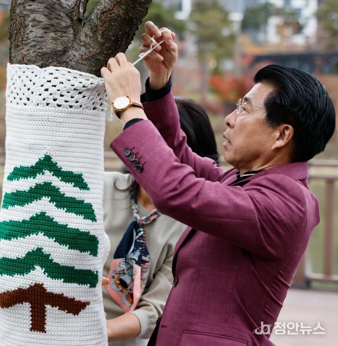 지난해 11월 15일 위례통 트리니팅 개막식에서 나무에 뜨개옷을 입히는 서강석 송파구청장