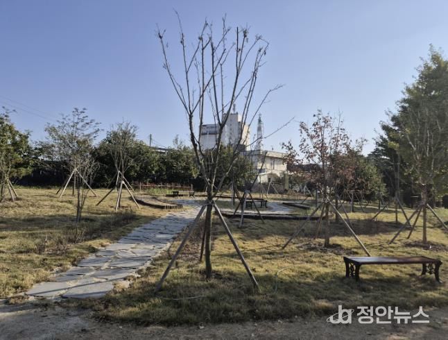 삽교초등학교 ‘학교숲’ 조성 모습