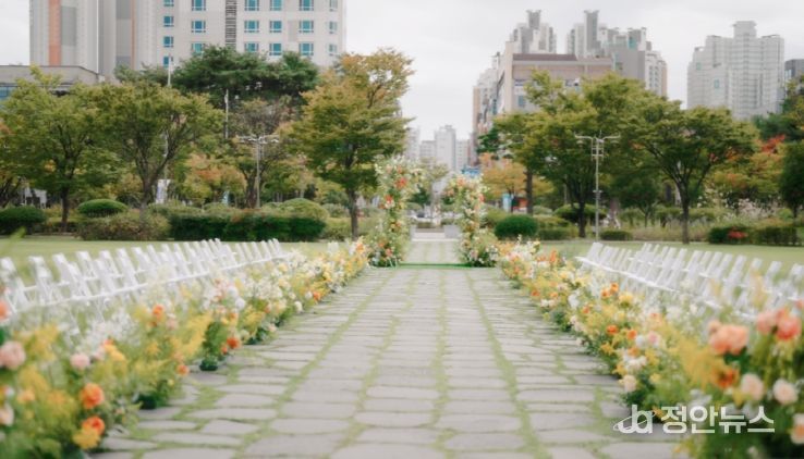 전북도청 잔디광장